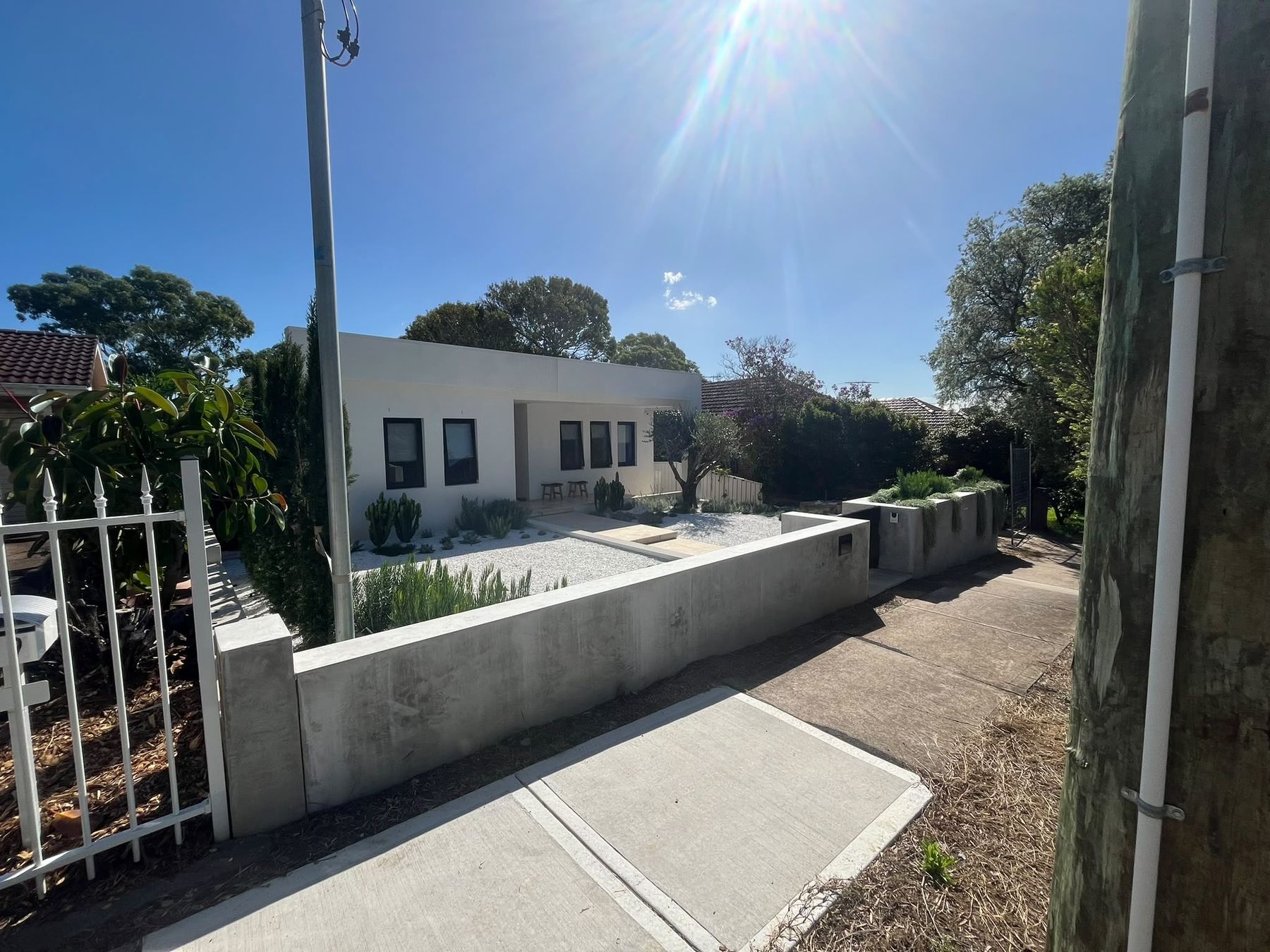 Street view of a rendered white house with concrete planter walls and a cactus and succulent front garden